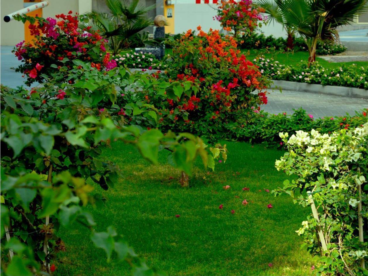Home To Home Apartments Dubai Bagian luar foto